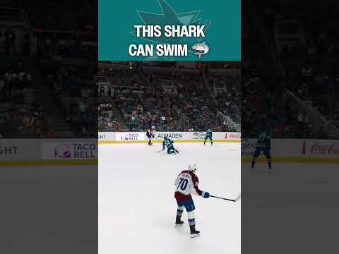 The Long Swim Home 🦈