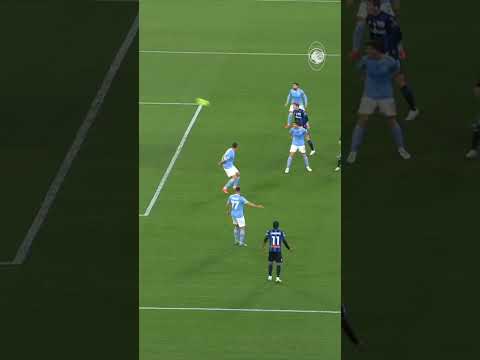 Il capolavoro di Zappacosta โ๏ธ #LazioAtalanta #GoAtalantaGo