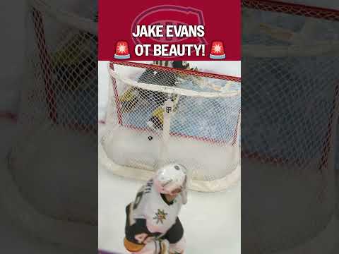 HABS WIN IT IN OT 😮💨🚨