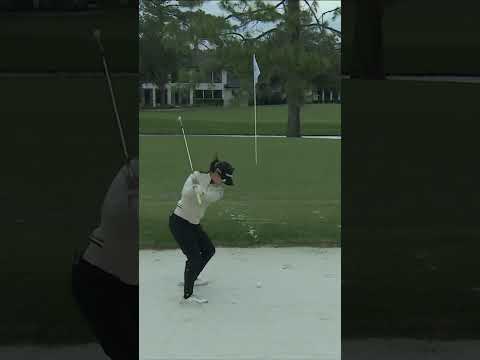 Ko-le out from the bunker!