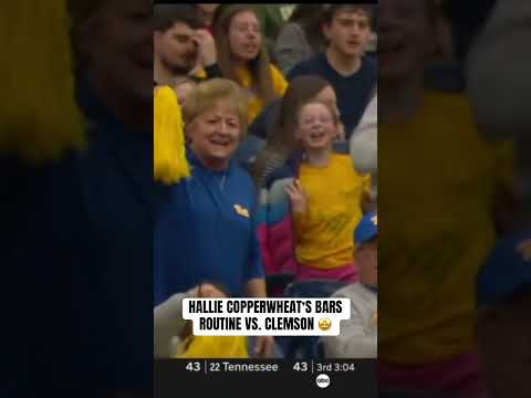 Beautiful performance on Bars 👏 #pitt #h2p #gymnastics #collegegymnastics #accgymnastics