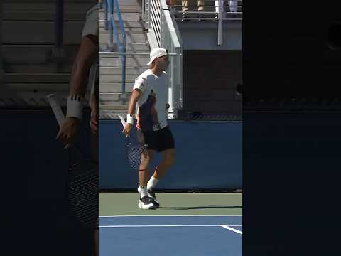 HOW did he get there?! 🫨