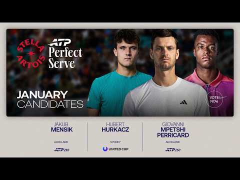 Stella Perfect Serve | January Candidates
