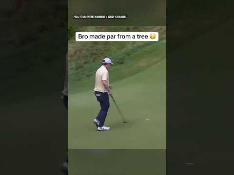 Robert MacIntyre somehow made par from here 😤