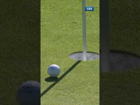 How to build a BRIDGE 🦅