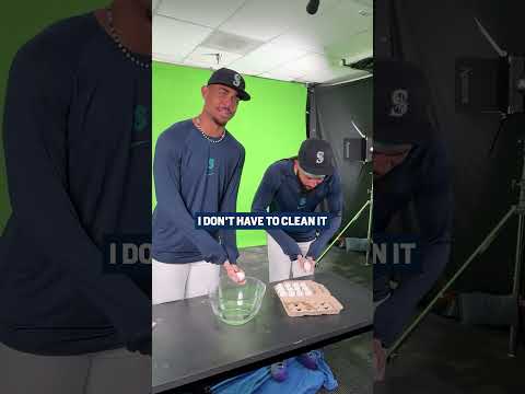 egg-cellent teamwork