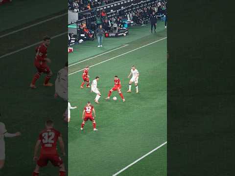 Joe Scally 😮💨😮💨😮💨 #diefohlen #Borussia