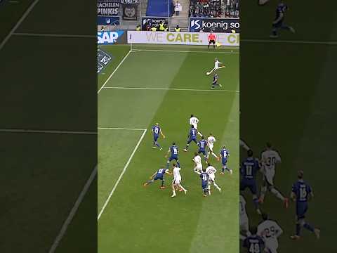 Herrmann, Hazard or Hack - once upon a time in Sinsheim! 😮💨 #dieFohlen