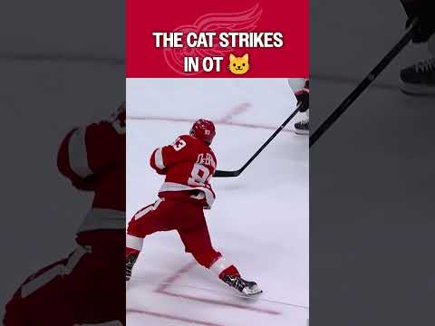 The Cat Ends It in OT! ๐จ๐ฑ