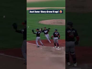 Everything went EXACTLY according to plan! 🤭