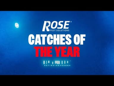 Detroit Tigers Top 10 Catches of the 2025 Season