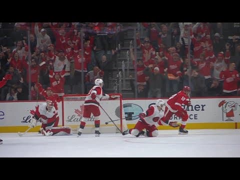 Andrew Copp's Questionable OT Goal, Even The Red Wings' Play-by-Play Agree About Missed Call
