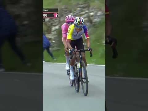 Happy birthday Egan Bernal 🥳🎂 The Giro and Tour de France winner turns 29 today 👊