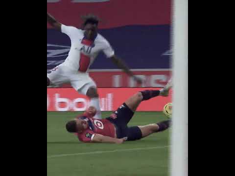 Joyeux anniversaire Sven ❤️ 26 ans pour notre ancien Dogue 🎂