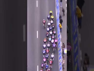 Visma have a new Classics weapon 😳🤯 Matthew Brennan wins Kuurne-Brussel-Kuurne at a canter 🙌