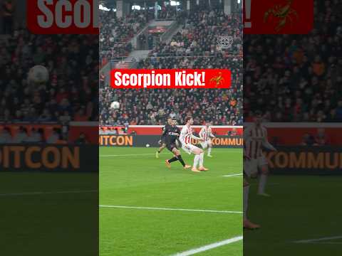 MUST WATCH! Scorpion Kick goal by Martin Terrier! π€―π¦