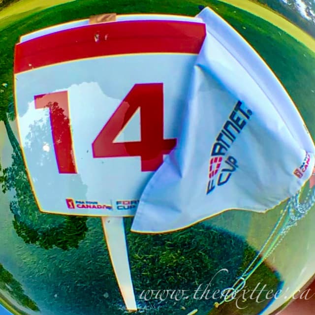 Episode 31 - "When you're a Wil... There's a way."