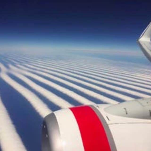 Episode 36: Conspiracy Theories Abound