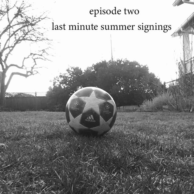 Last Minute Summer Signings