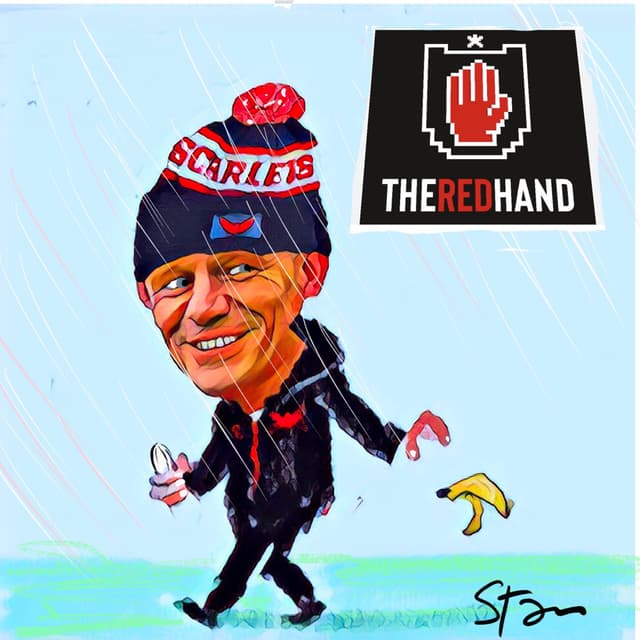 Peel’s Banana Skin