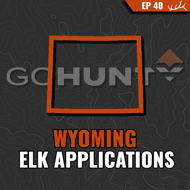 Wyoming Elk Applications 2026