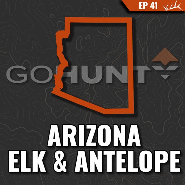 Arizona Elk and Antelope – Is It Worth It?