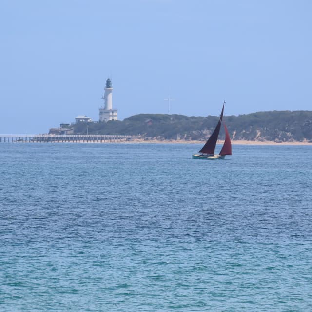 Stanley Ulijaszek and Swimming in Australia at Queenscliffe