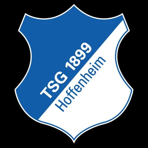 1899 Hoffenheim logo