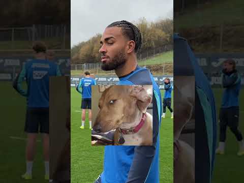 Was ist dein Lieblings-Meme? #hoffenheim #tsg #meme