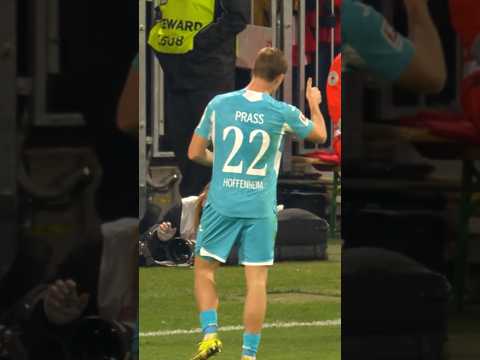 👍 #Hoffenheim #AlexanderPrass #FCBayern #LennartKarl