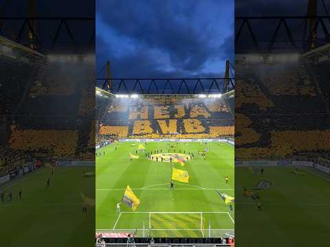 This tifo is crazy! 🖤💛