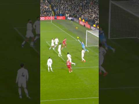 Karl Darlow wonder save 🧤