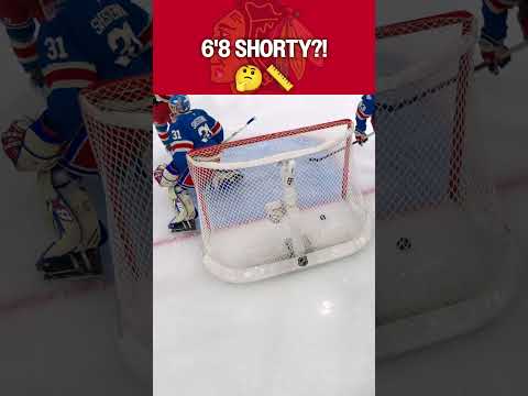 Thatβs One Tall Shorty! π