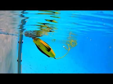 Elizabeth Gets a New Toy CHASING DORY