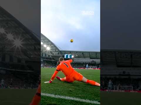 Bart’s BRILLIANT Stop vs Everton 🧤🇳🇱 #brightonandhovealbion #verbruggen #premierleague