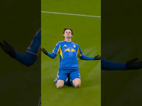 Aaronson fires home wonderful strike ā½