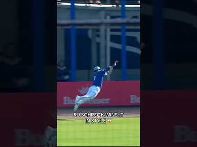 INSANE GAME-WINNING CATCH BY RJ SCHRECK! #MLB #Toronto #BlueJays