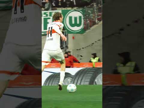 𝐖𝐨𝐥𝐭𝐞𝐦𝐞𝐬𝐬𝐢 𝐯𝐞𝐫𝐳𝐚𝐮𝐛𝐞𝐫𝐭 𝐝𝐢𝐞 𝐌𝐇𝐏 𝐀𝐫𝐞𝐧𝐚 🪄