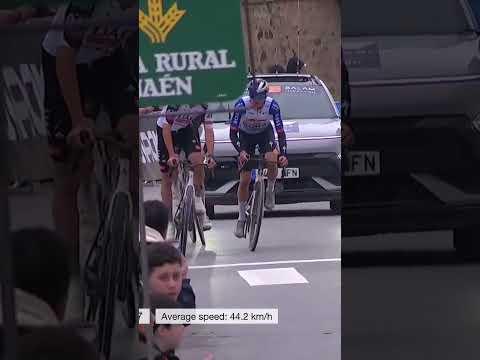 Tim Wellens wins Clasica Jaen with stunning 54 kilometre solo 🤩