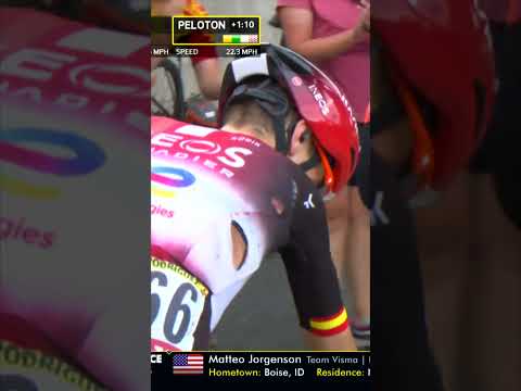 Julian Alaphilippe crashes! 🚲