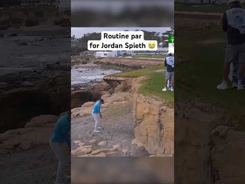 The full Experience™