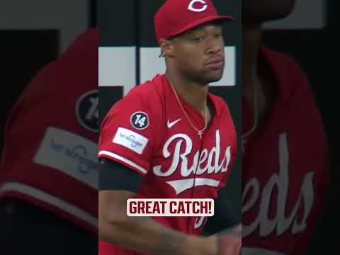 Will Benson makes a spectacular play at the wall š¤