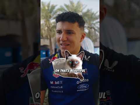 He knows his cats π» #F1 #RedBullRacing