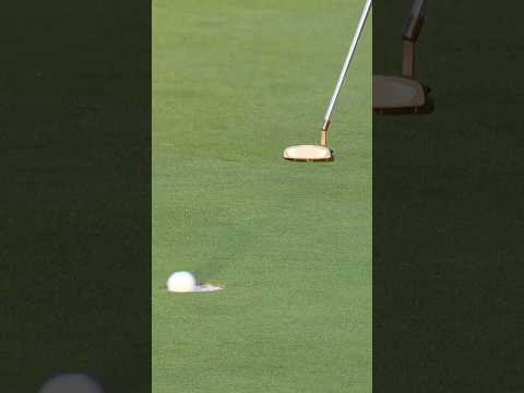 Lip out on 10 DROPS Scottie further š