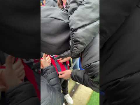 Matteo Gabbia, always with us ❤️🖤 | #Shorts